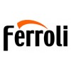 Запчасти для котлов Ferroli (Феролли) (0)